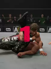 All Elite Wrestling: Fight Forever - Elite Edition