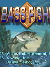 Sea Bass Fishing