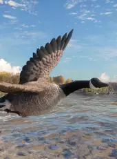 TheHunter: Call of the Wild - Wild Goose Chase Gear