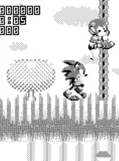 Sonic the Hedgehog 2