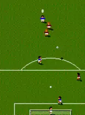 Sensible World of Soccer: European Championship Edition