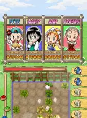 Puzzle de Harvest Moon