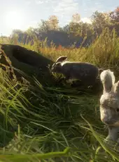 TheHunter: Call of the Wild - Free Species: European Rabbit