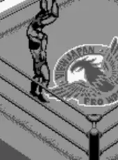 Fire Pro Wrestling for WonderSwan