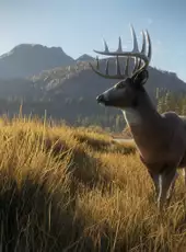 TheHunter: Call of the Wild