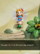 The Legend of Zelda: Link's Awakening - Dreamer Edition