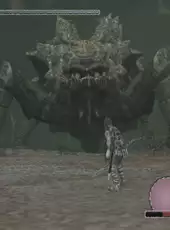 Shadow of the Colossus