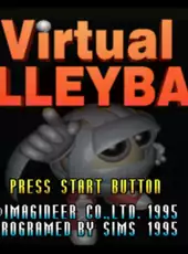 Virtual Volleyball