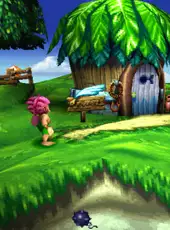 Tomba! 2: The Evil Swine Return