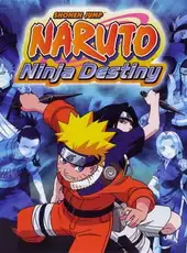 Naruto: Ninja Destiny