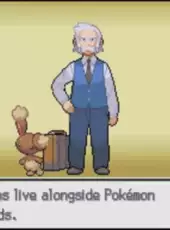 Pokémon Platinum Version