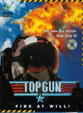 Top Gun: Fire At Will