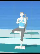 Wii Fit