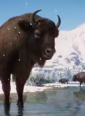 Planet Zoo: Eurasia Animal Pack