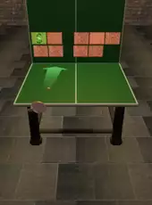 Table Tennis Pro