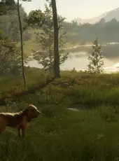 TheHunter: Call of the Wild - Bloodhound