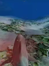 Jaws Unleashed