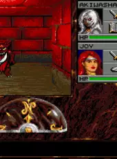 Advanced Dungeons & Dragons: Eye of the Beholder