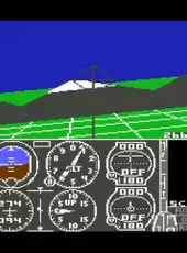 Flight Simulator II