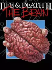 Life & Death II: The Brain