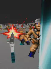 Wolfenstein 3D VR