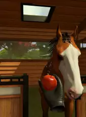 Rival Stars Horse Racing: VR Edition