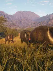 TheHunter: Call of the Wild - Rancho del Arroyo