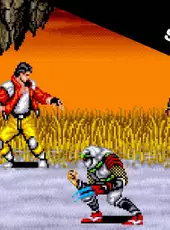 ACA Neo Geo: Sengoku