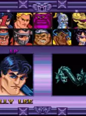 Double Dragon V: The Shadow Falls