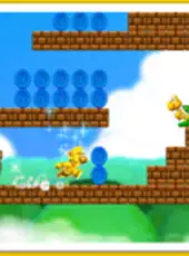 New Super Mario Bros. 2: Nerve-Wrack Pack