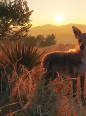 TheHunter: Call of the Wild - Rancho del Arroyo