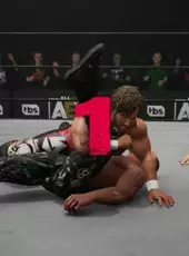 All Elite Wrestling: Fight Forever - Season Pass 2