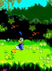 Disney's Donald Duck Advance