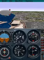 Microsoft Flight Simulator 5.1