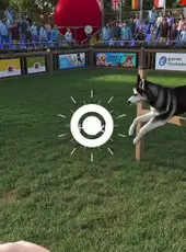 Animal Trainer Simulator