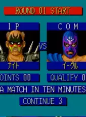 Fire Pro Wrestling: Combination Tag