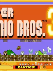 Super Mario Bros. 35