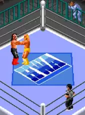 Super Fire Pro Wrestling 3: Final Bout