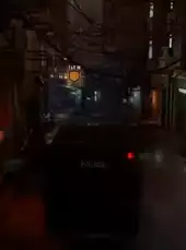 Sleeping Dogs: The SWAT Pack