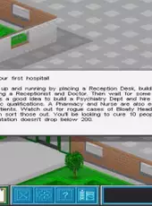 Theme Hospital