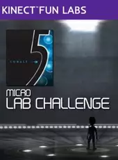 Kinect Fun Labs: 5 Micro Lab Challenge