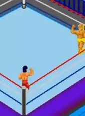 Fire Pro Wrestling 2nd Bout