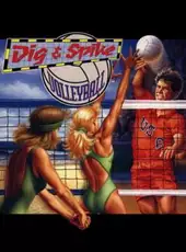 Dig & Spike Volleyball