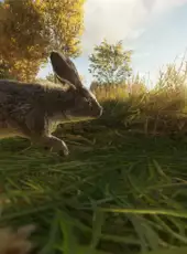 TheHunter: Call of the Wild - Free Species: European Rabbit