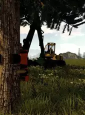 Forestry: The Simulation