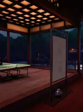 VR Ping Pong Pro