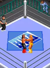 Super Fire Pro Wrestling 3: Final Bout