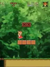 New Super Marisa Land