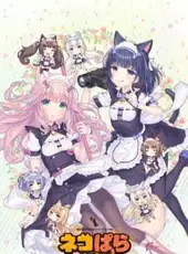 Nekopara After: La Vraie Familie