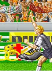 ACA Neo Geo: Super Sidekicks